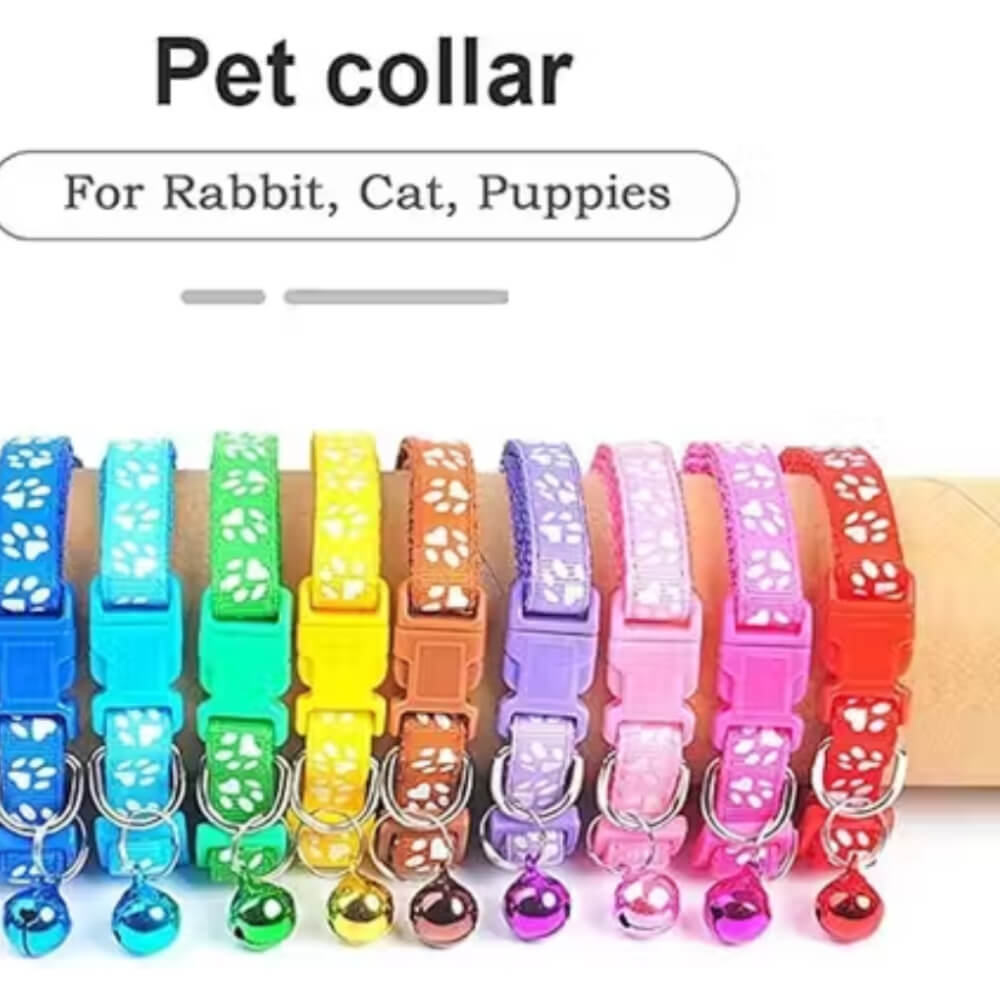 Nylon Cat Harness Pack