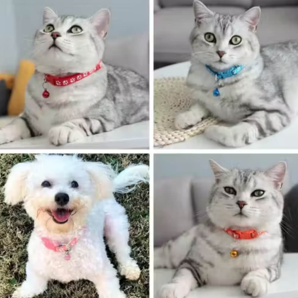 Nylon Cat Harness (Pack of 4) β Adjustable, Escape-Proof & Comfortable Collars for Cats, Kittens & Persian Cats | Safe for Daily Walks & Travel - Image 3