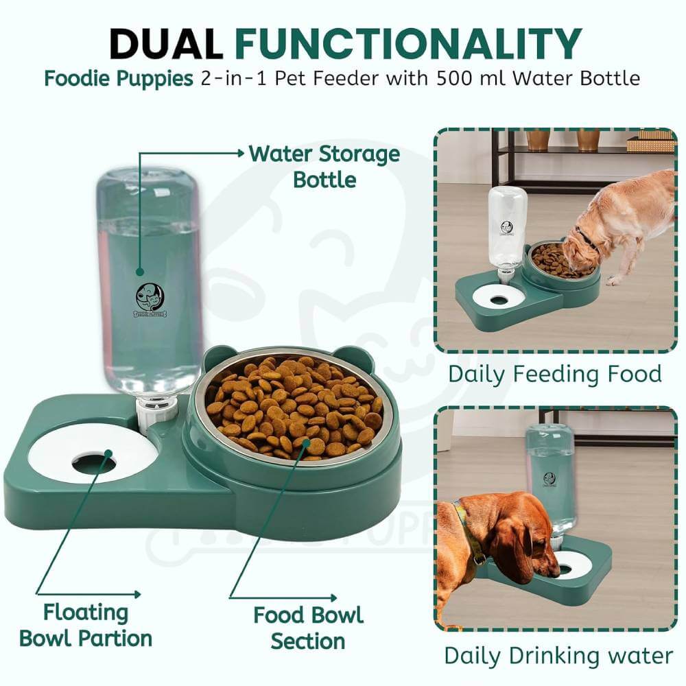 Artpaws 2-in-1 Pet Feeder & Water Dispenser | Automatic Stainless Steel Bowl for Cats & Dogs - Image 3