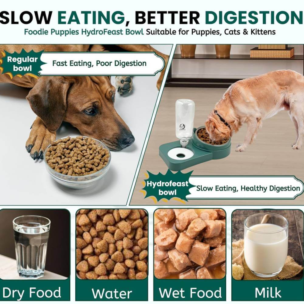 Artpaws 2-in-1 Pet Feeder & Water Dispenser | Automatic Stainless Steel Bowl for Cats & Dogs - Image 4