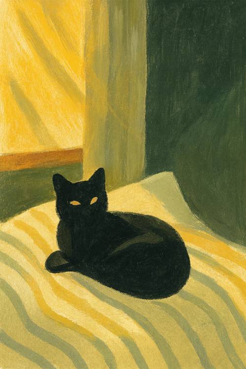 Black Cat on Striped Bed with Warm Light